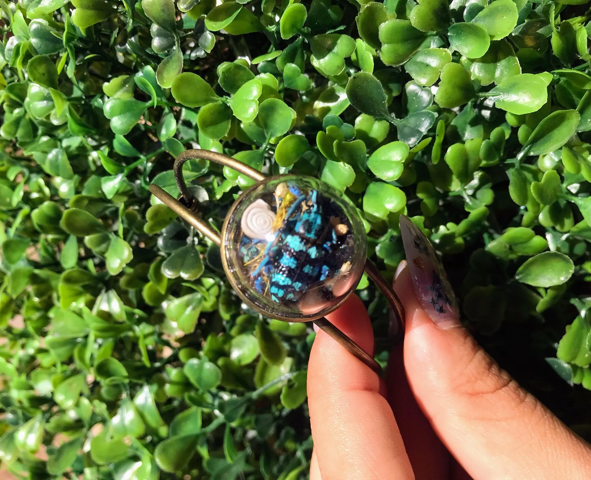 Blue weevil terrarium cuff bracelet real insect jewelry art handmade entomology unique gift nature inspired