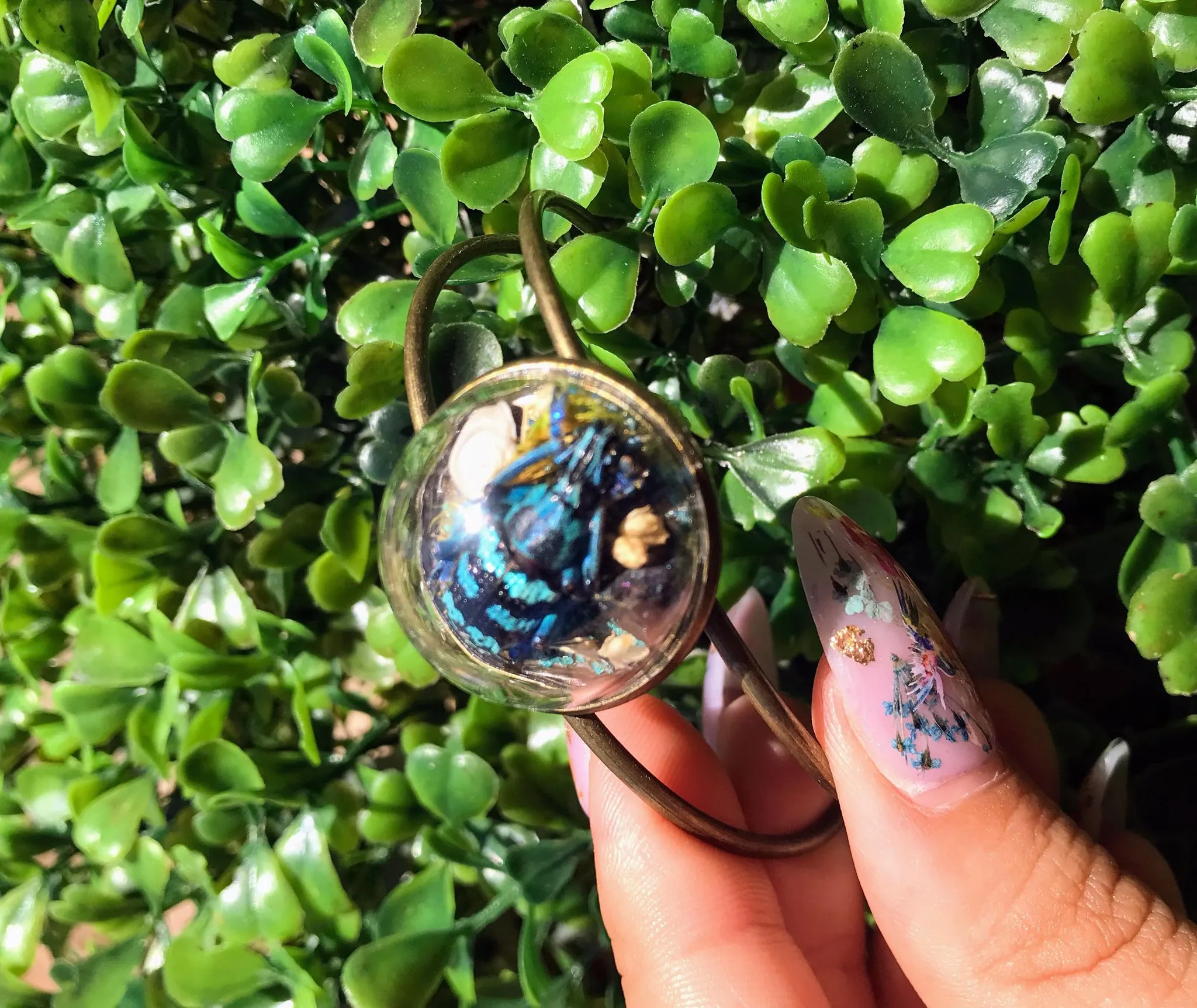 Blue weevil terrarium cuff bracelet real insect jewelry art handmade entomology unique gift nature inspired