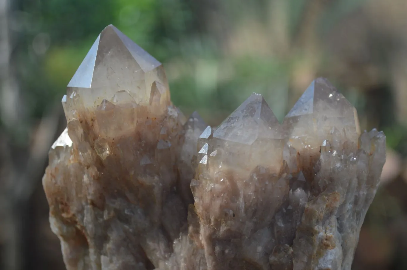 Natural Cascading White Phantom Smokey Quartz Clusters x 3 From Luena, Congo