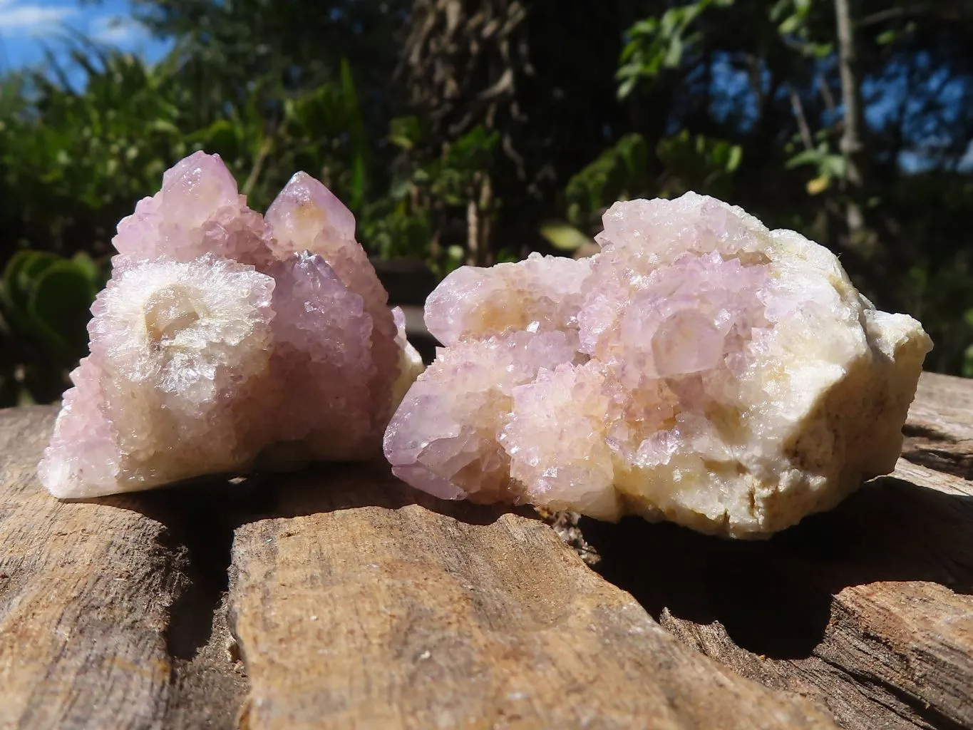 Natural Lovely Mixed Selection Of Spirit Quartz Clusters x 24 From Boekenhouthoek, South Africa