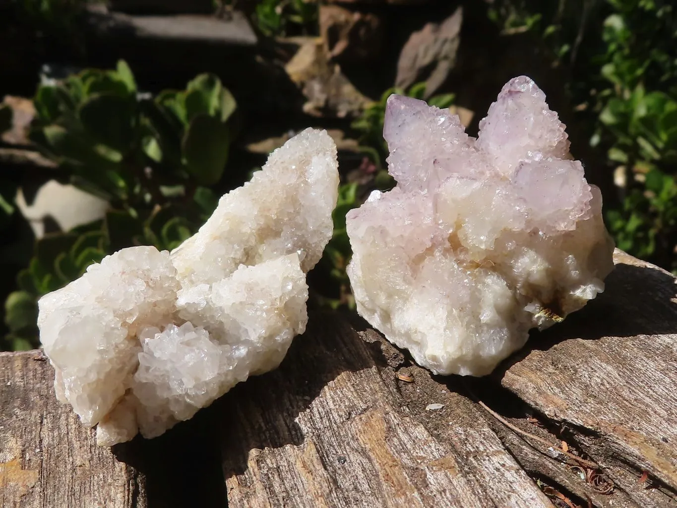 Natural Lovely Mixed Selection Of Spirit Quartz Clusters x 24 From Boekenhouthoek, South Africa