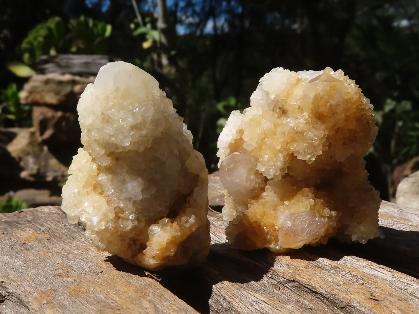 Natural Lovely Mixed Selection Of Spirit Quartz Clusters x 24 From Boekenhouthoek, South Africa