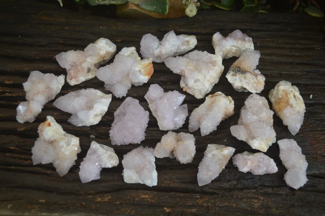Natural Pale Lilac Spirit Quartz Clusters x 20 From Boekenhouthoek, South Africa