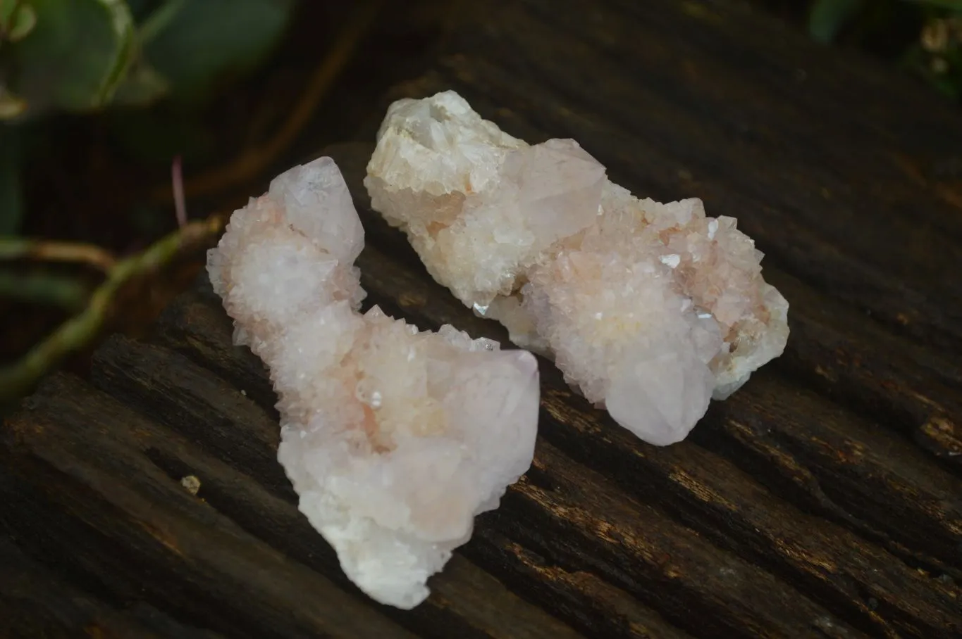 Natural Pale Lilac Spirit Quartz Clusters x 20 From Boekenhouthoek, South Africa
