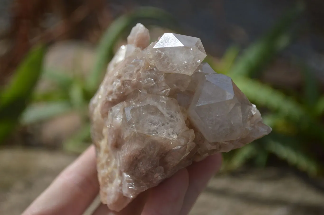Natural Smokey Quartz Clusters x 2 From Luena, Congo