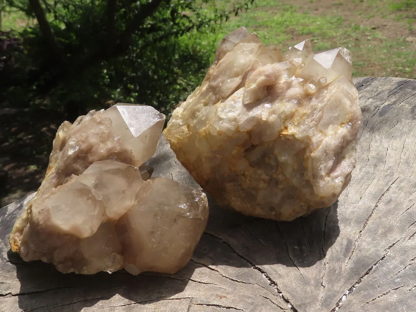 Natural Smokey White Phantom Quartz Clusters x 3 From Luena, Congo